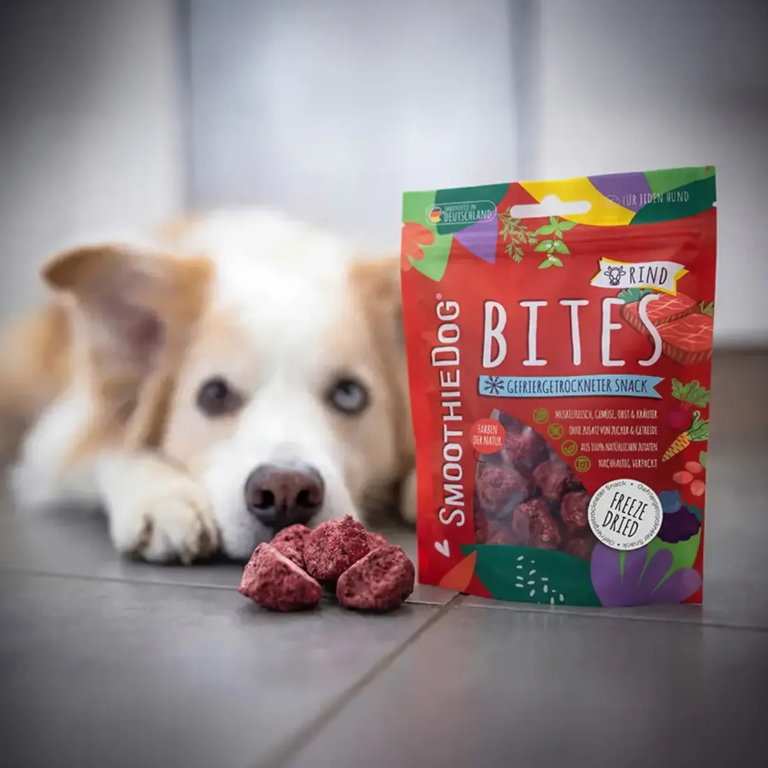 Smoothiedog Bites Rund
