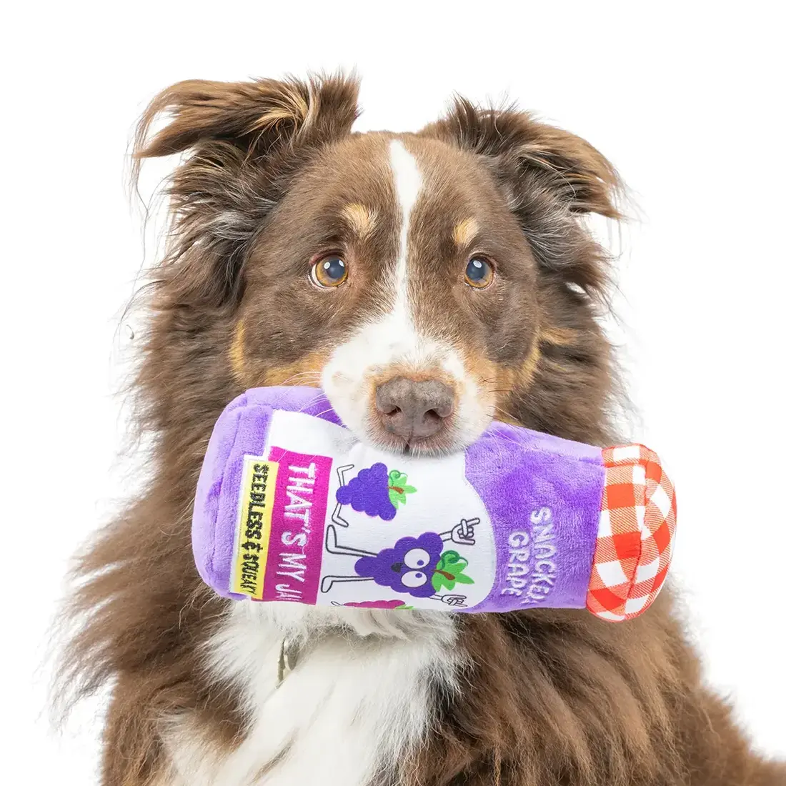 Huxley & Kent Lulubelles Snackers Grape Jam Large