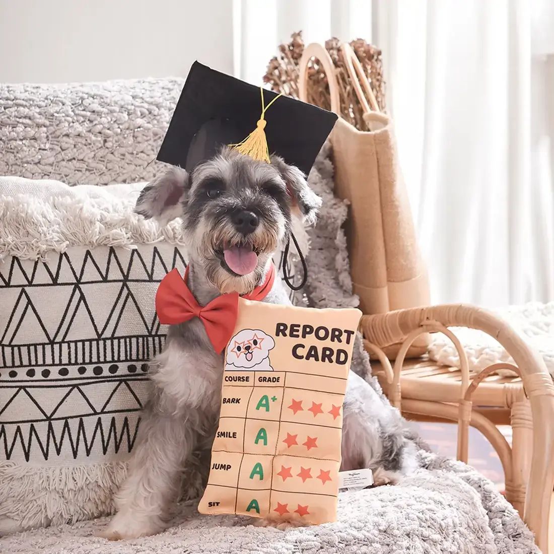 HugSmart Back to School – Report Card