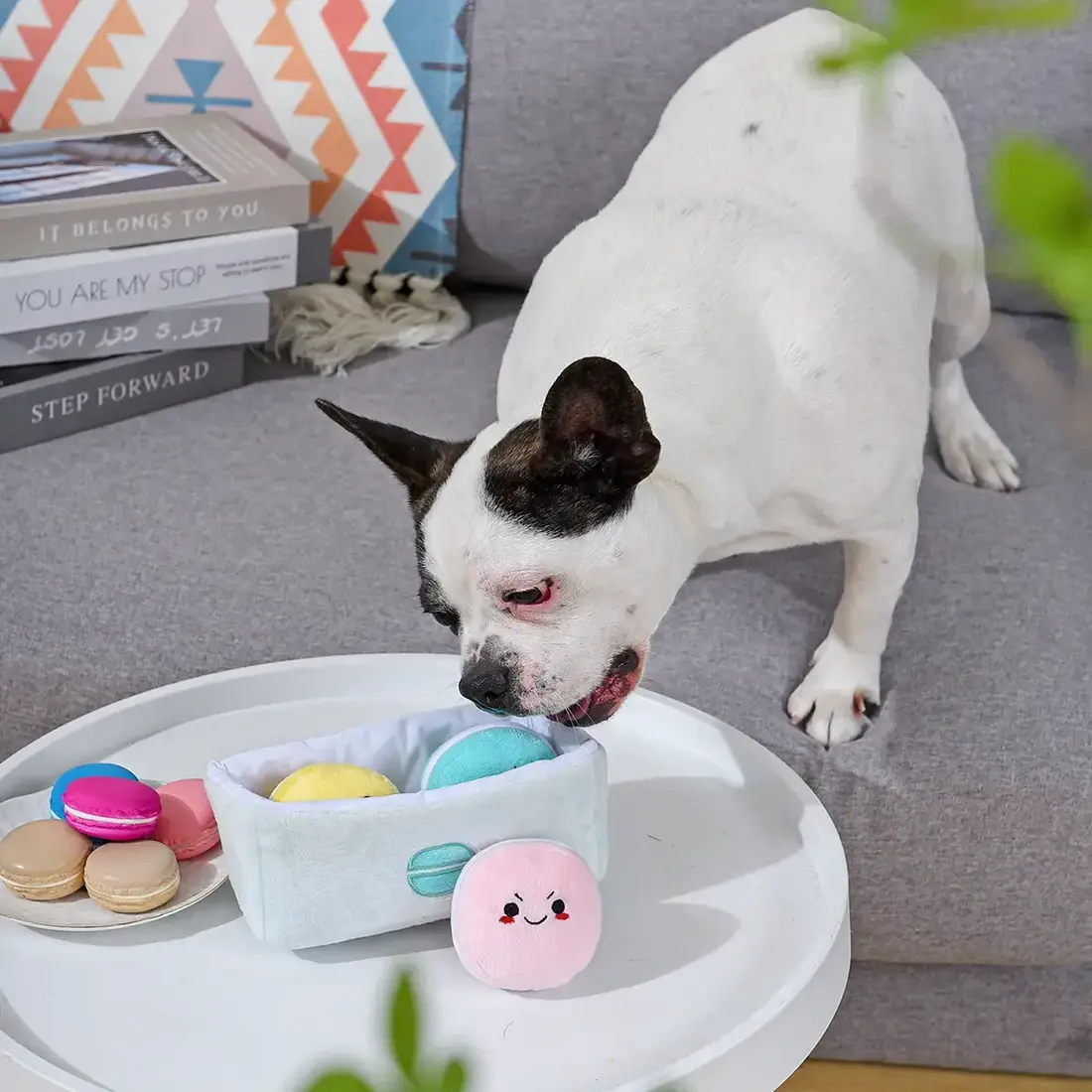 HugSmart Pooch Sweets - Macarons