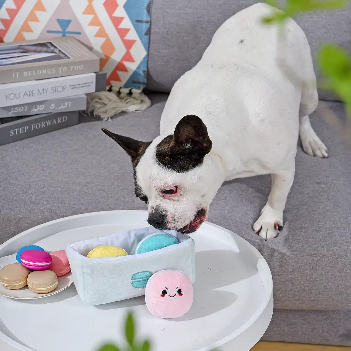 HugSmart Pooch Sweets - Macarons