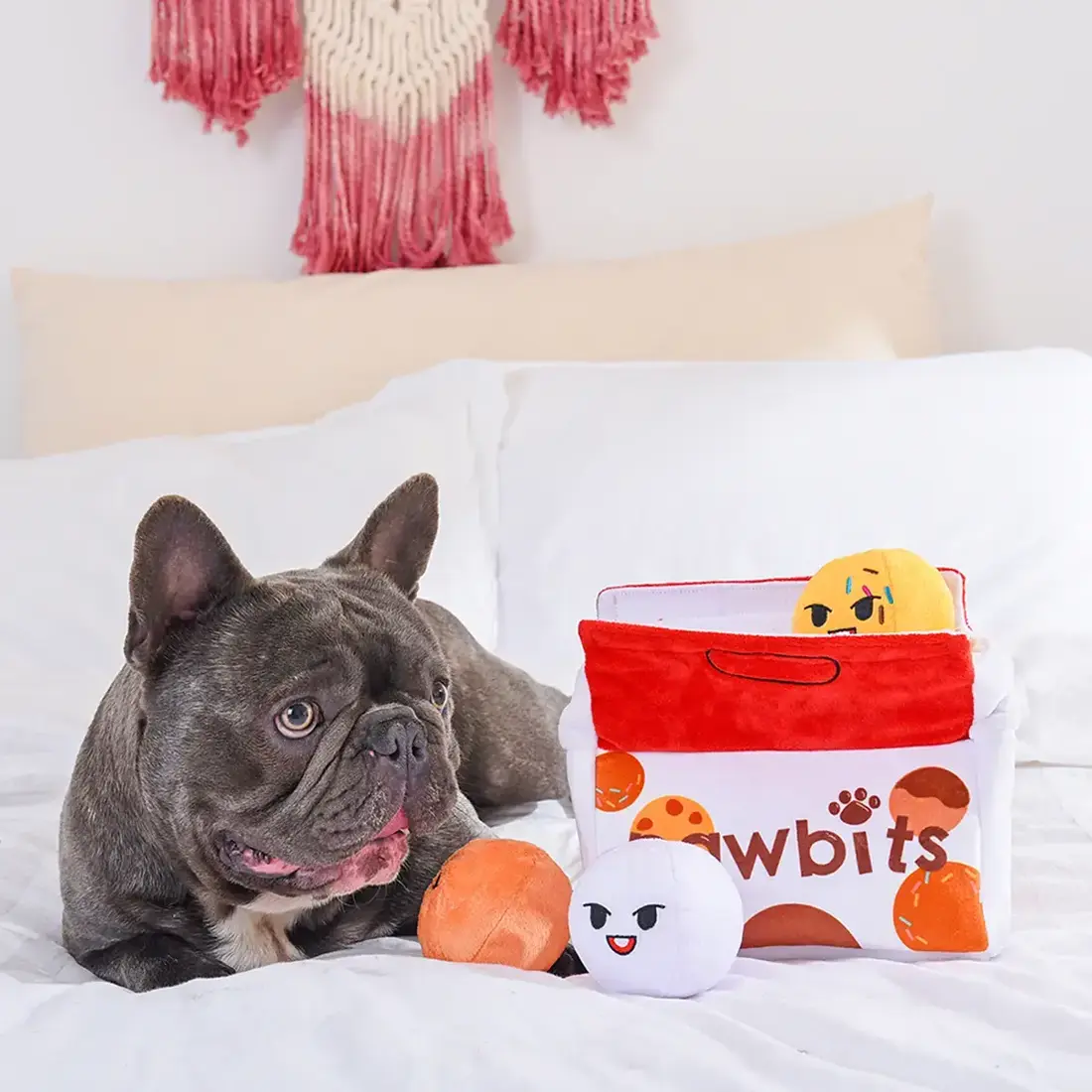 HugSmart Pooch Sweets – Paw Bits