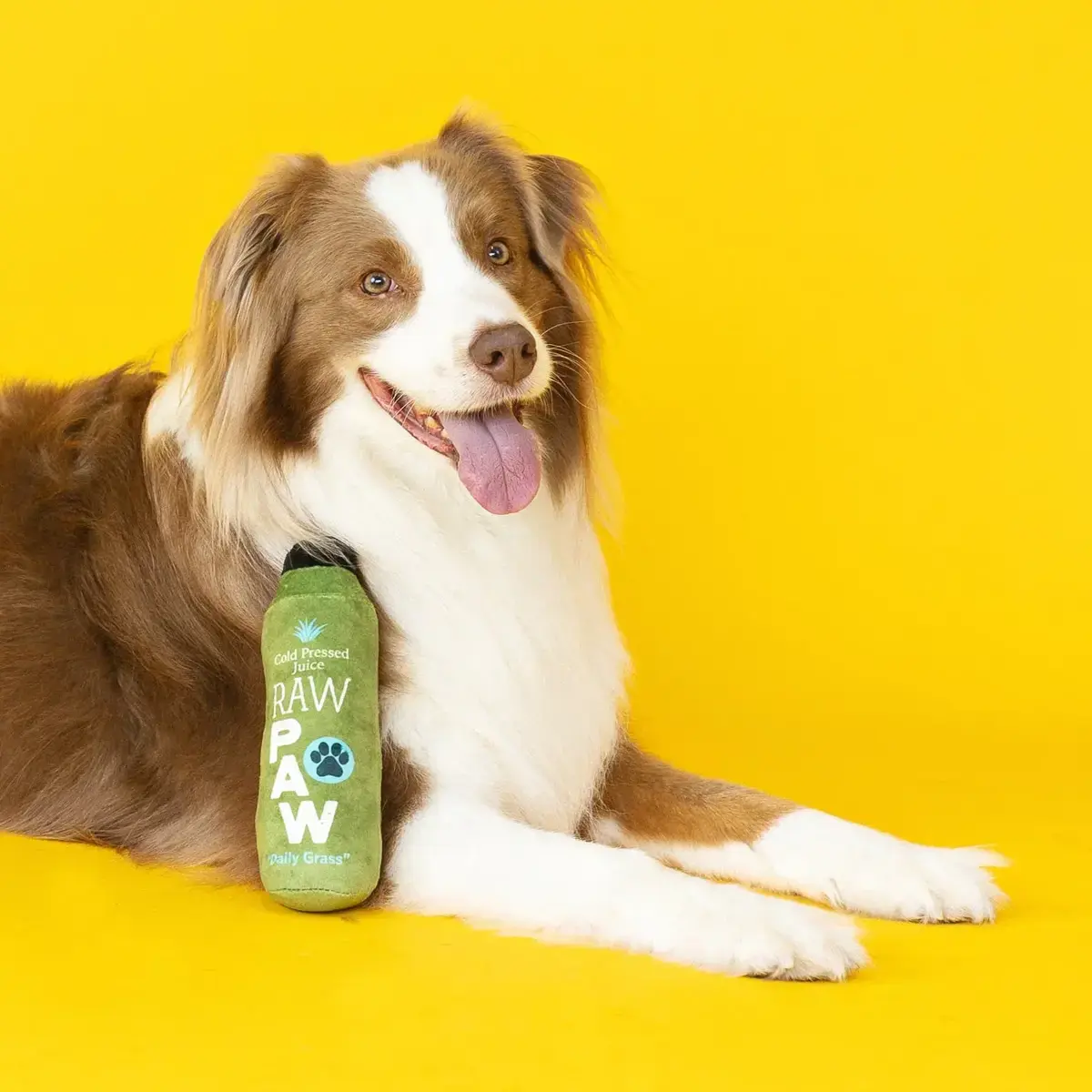 Petshop By Fringe Studio Pressed Juice