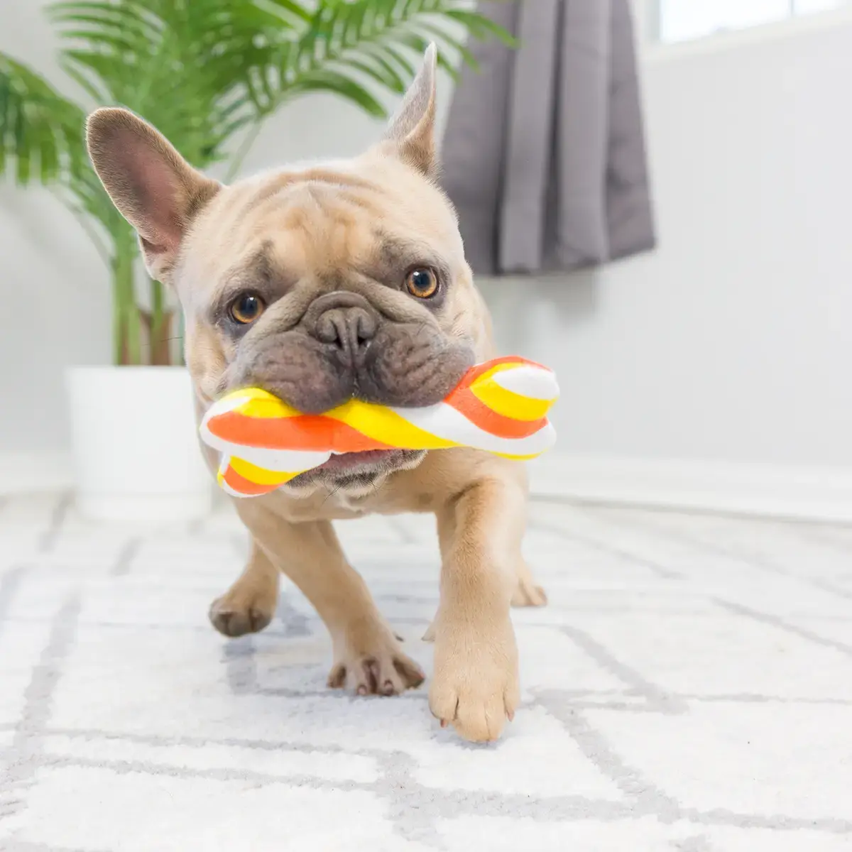 Huxley & Kent Lulubelles Tiny Tuff Pumpkin Treats