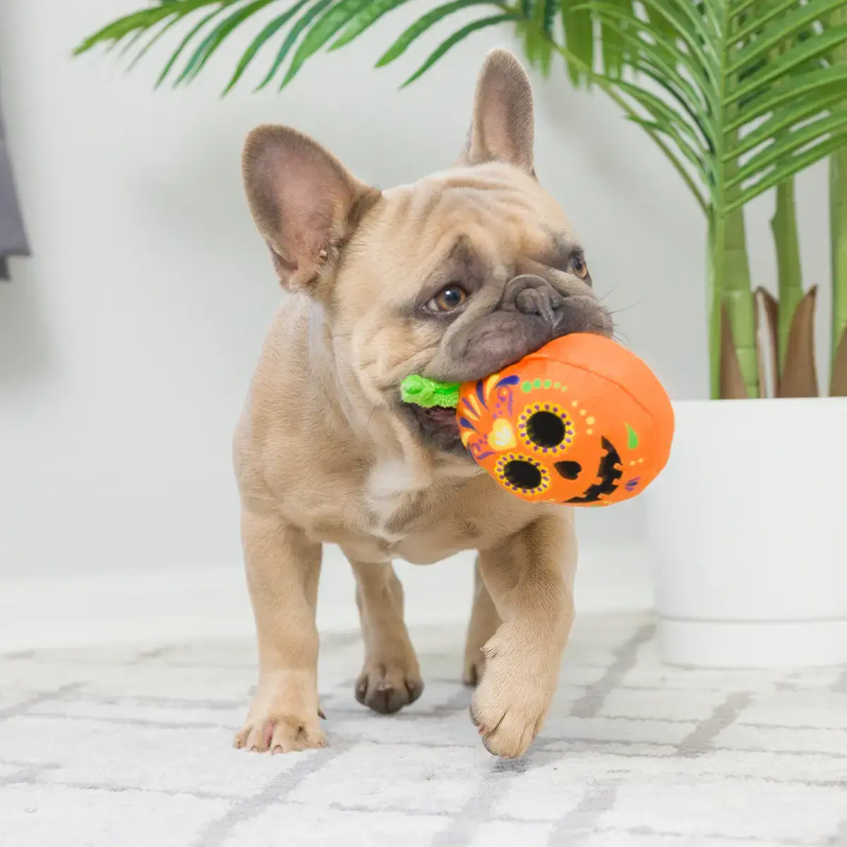 Huxley & Kent Lulubelles Tiny Tuff Pumpkin Treats