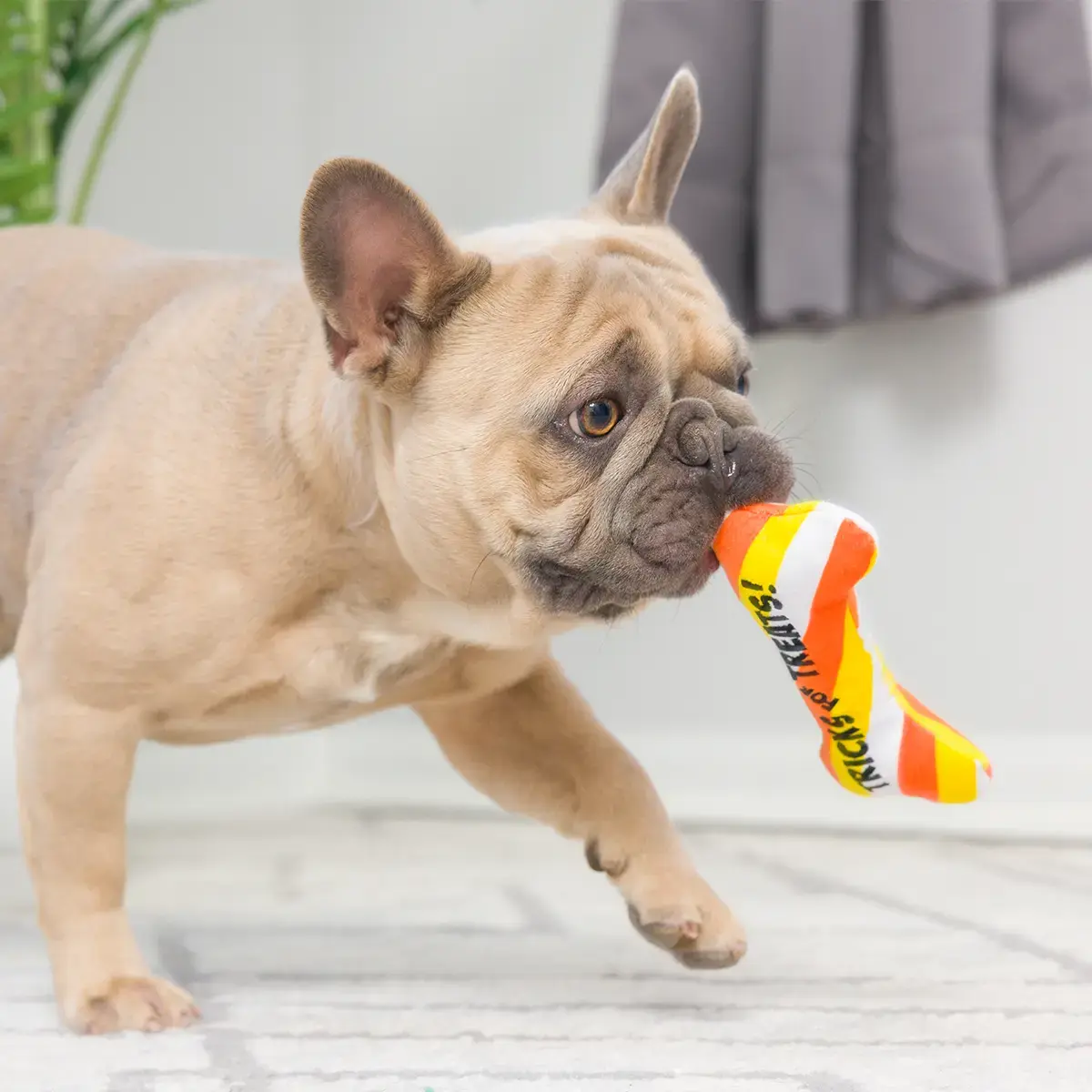 Huxley & Kent Lulubelles Tiny Tuff Pumpkin Treats