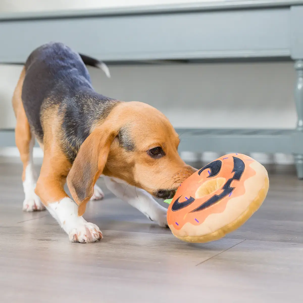 Huxley & Kent Lulubelles Pumpkin Donut