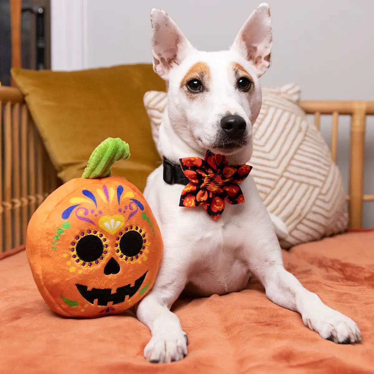 Huxley & Kent Lulubelles Sugar Skull Pumpkin