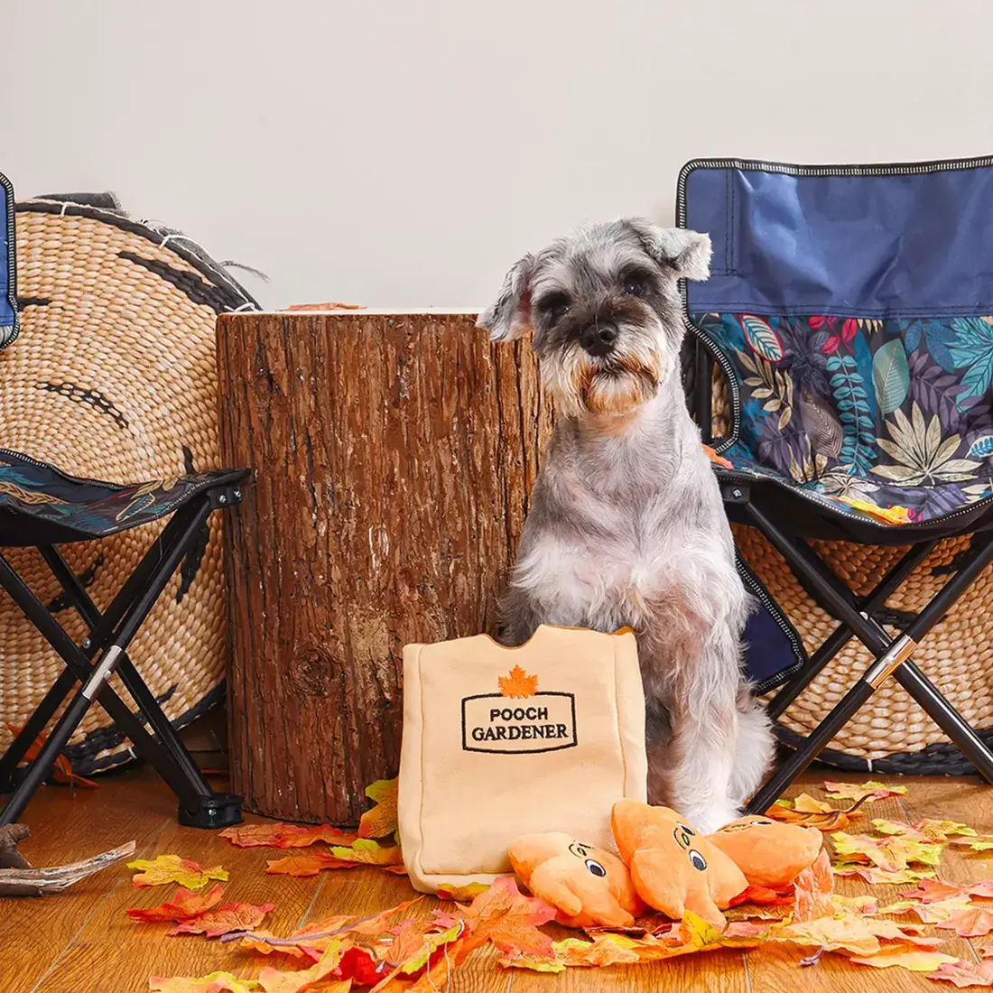 HugSmart Autumn Tailz – Leaf Bag