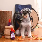 HugSmart Autumn Tailz – Wine Barrel