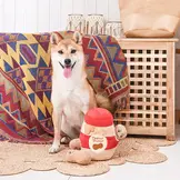HugSmart Food Party – Peanut Jar