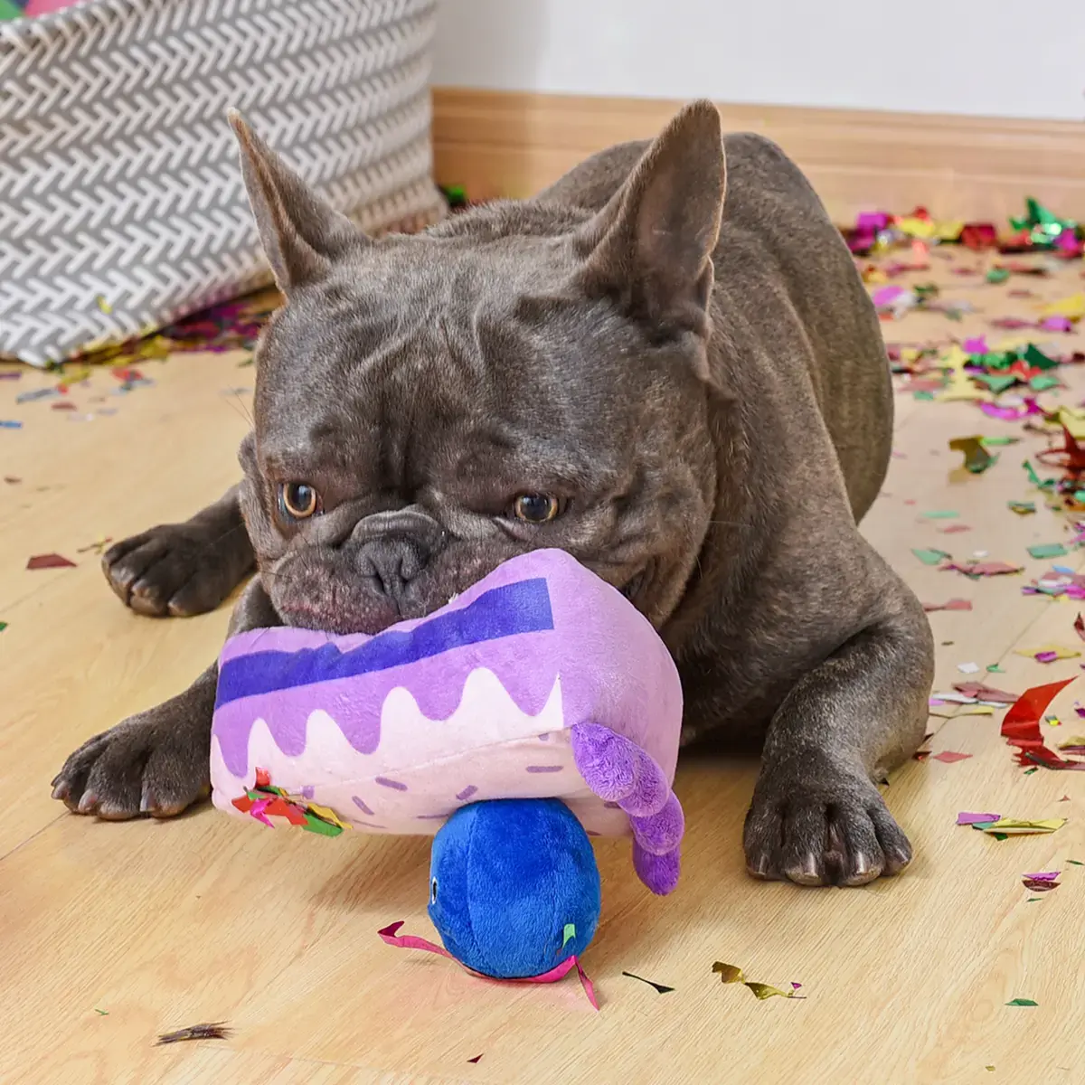 HugSmart Pooch Sweets – Blueberry Cake