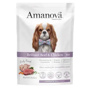 Amanova Adult Briljant Beef & Chicken P01