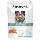 Amanova Adult Irresistible Beef P02