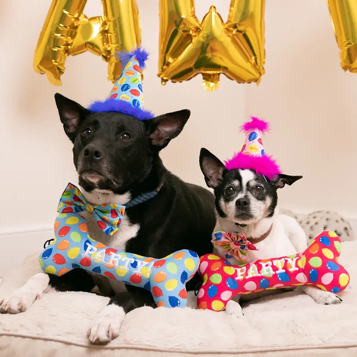 Huxley & Kent Lulubelles Party Time Bone Blue