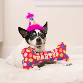 Huxley & Kent Lulubelles Party Time Bone Pink
