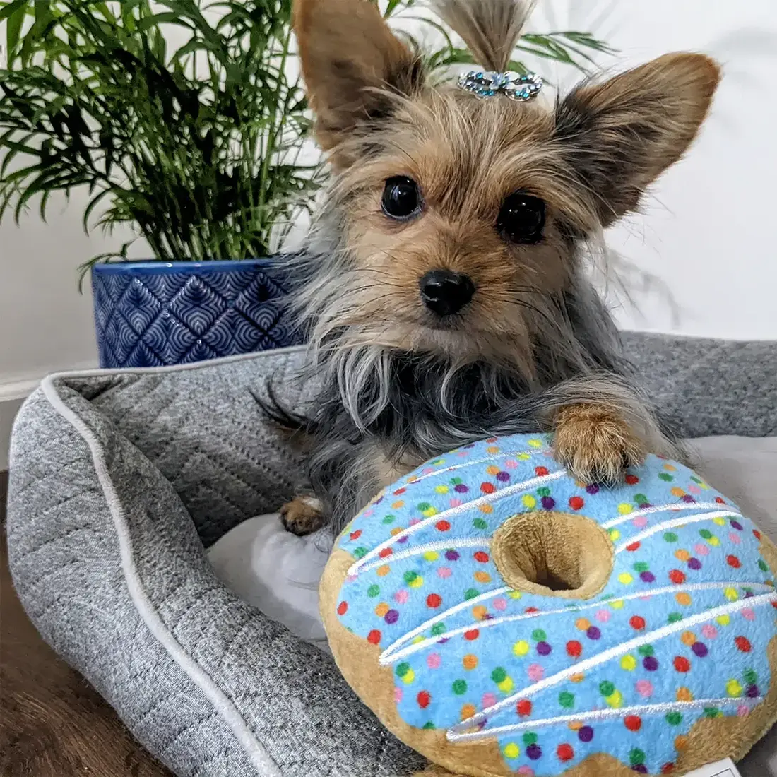 Huxley & Kent Lulubelles Drizzle Donut Blue