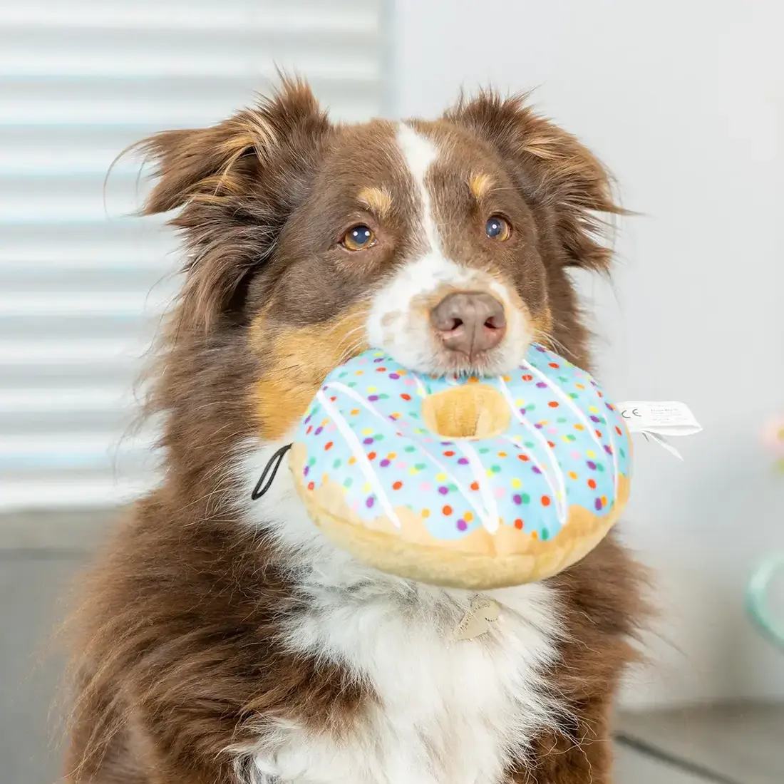 Huxley & Kent Lulubelles Drizzle Donut Blue