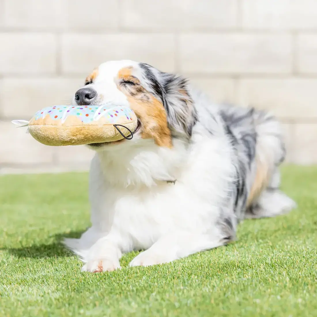 Huxley & Kent Lulubelles Drizzle Donut Blue