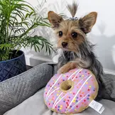 Huxley & Kent Lulubelles Drizzle Donut Pink