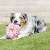 Huxley & Kent Lulubelles Drizzle Donut Pink
