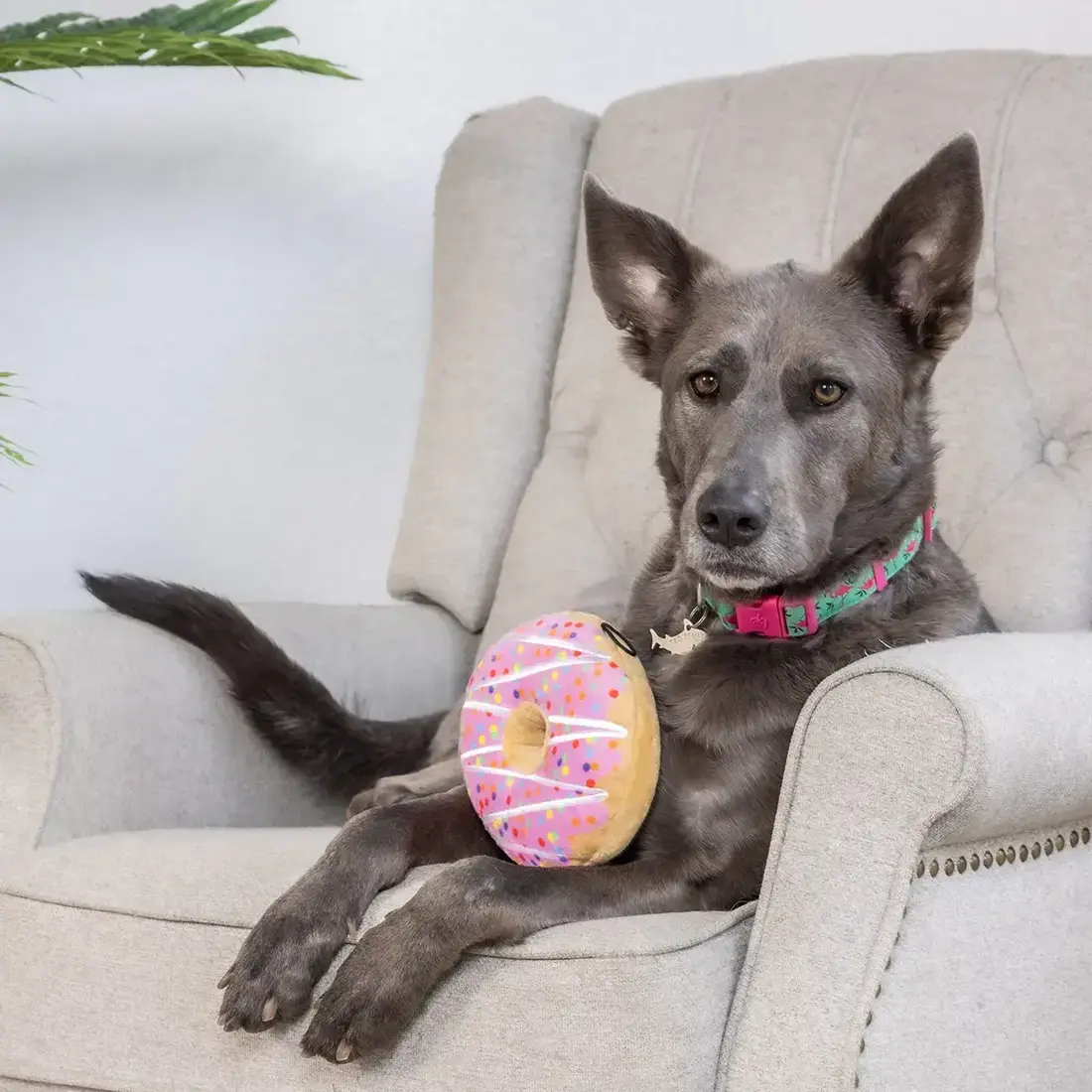 Huxley & Kent Lulubelles Drizzle Donut Pink