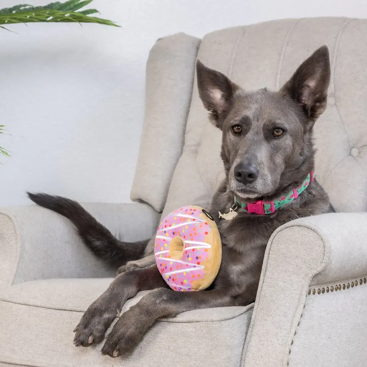 Huxley & Kent Lulubelles Drizzle Donut Pink