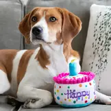 Huxley & Kent Lulubelles Happy Barkday Cake
