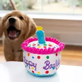 Huxley & Kent Lulubelles Happy Barkday Cake