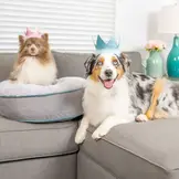 Huxley & Kent Verjaardagskroon Blauw