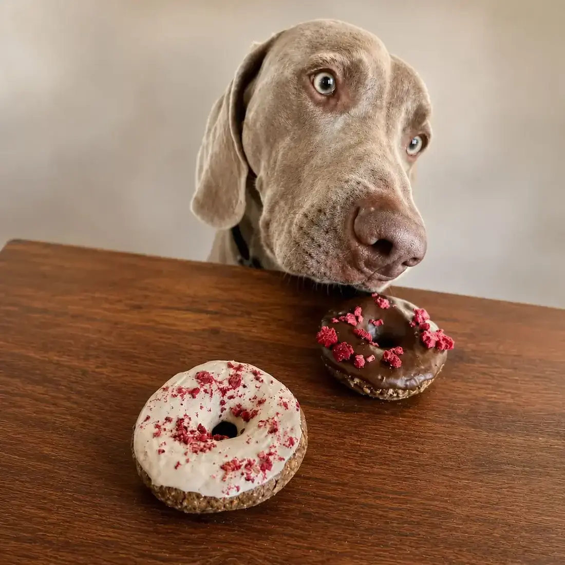 Cooka’s Cookies Puppy Pralines