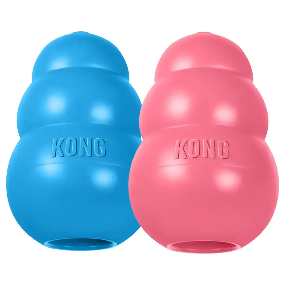 Kong Puppy