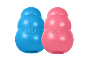 Kong Puppy