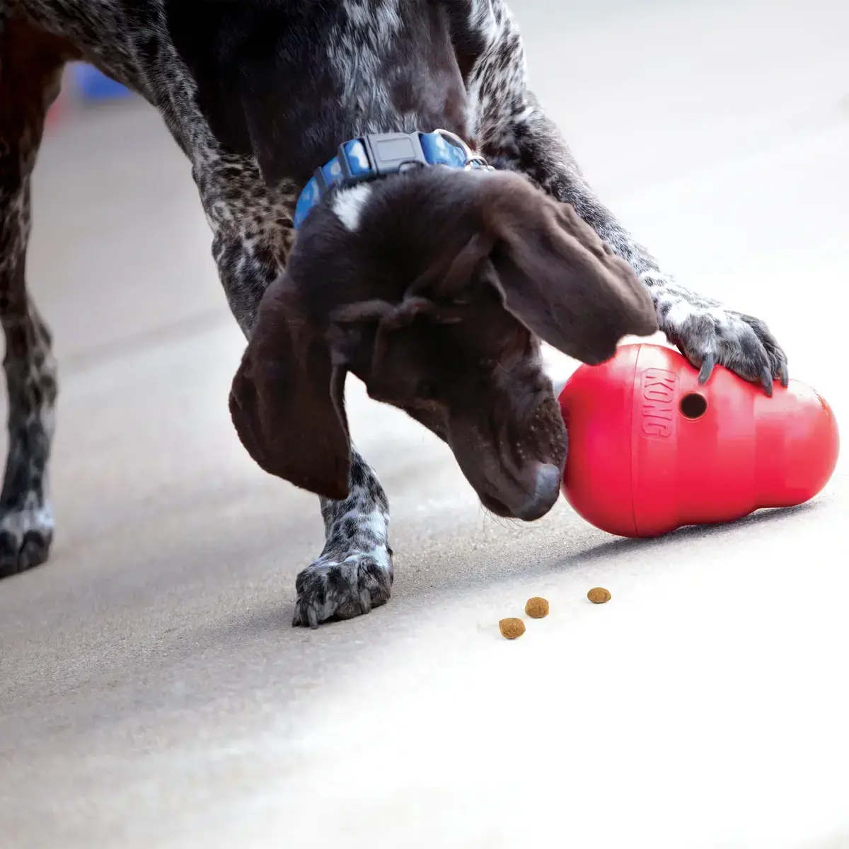 Kong Wobbler