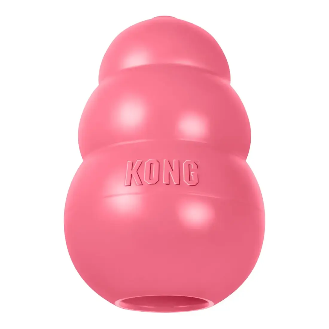 Kong Puppy