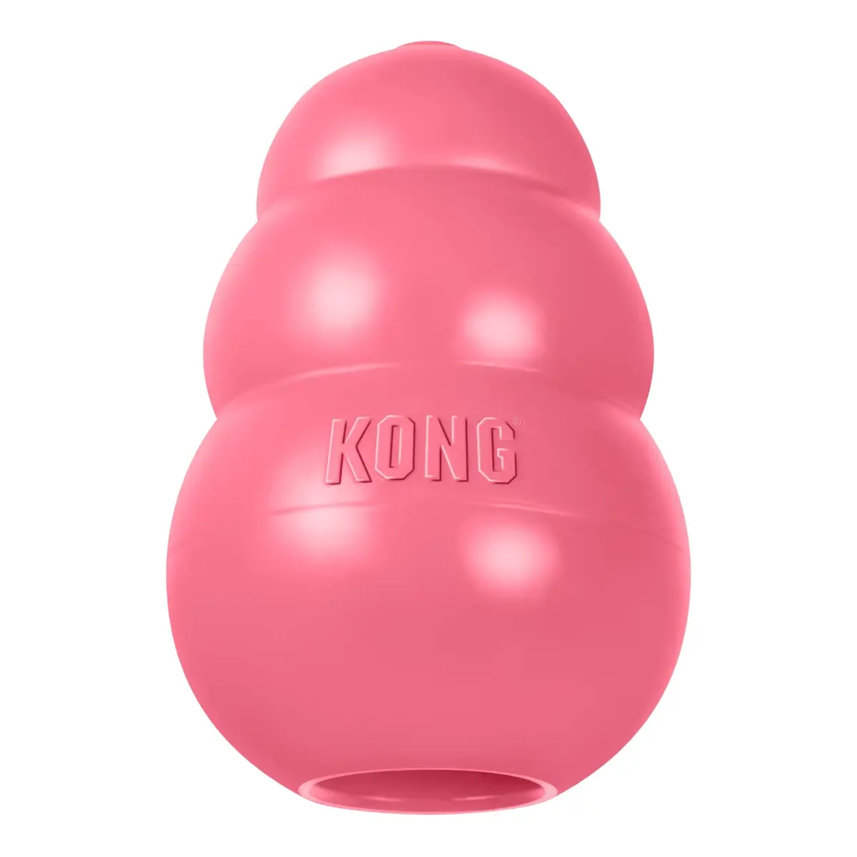 Kong Puppy