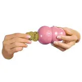 Kong Snacks Puppy