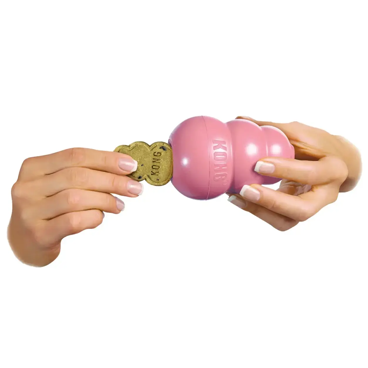 Kong Snacks Puppy