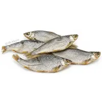 Akyra Voorns