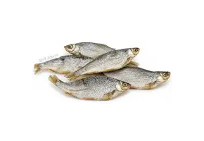 Akyra Voorns