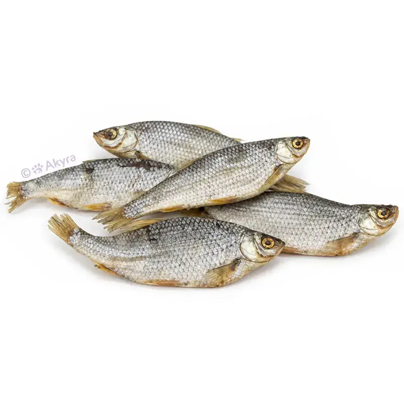 Akyra Voorns