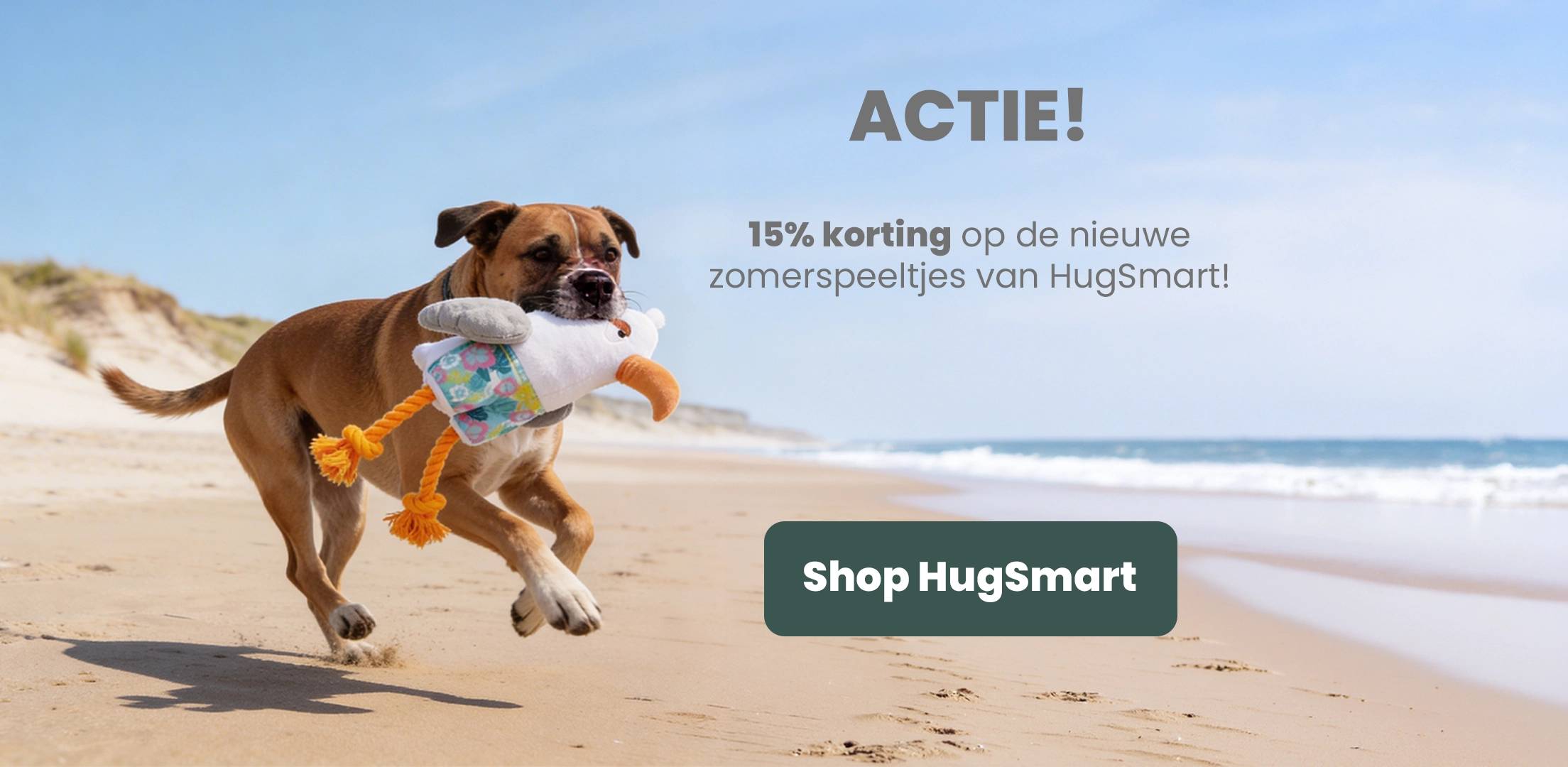 Coolpets Splash Dog Pool - Verkoelend Zwembad Voor Honden Spelenderwijs Afkoelen Verkrijgbaar In Small Medium En Large Large 120 X 30 Cm
