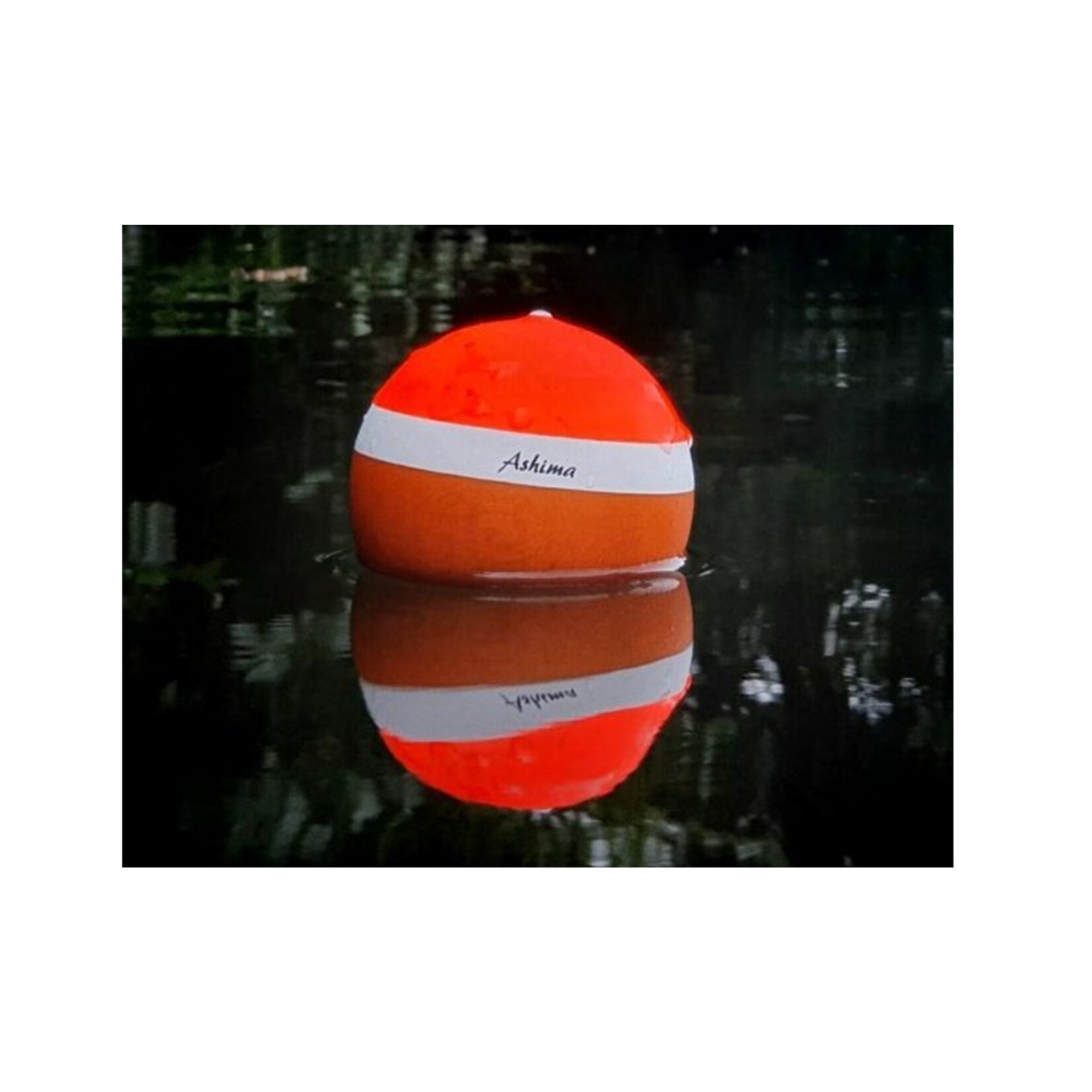 Ashima Ashima Line Float 90gr inclusief Light Connector van Balsa – Krachtige drijver voor nacht- en afstandsvissen
