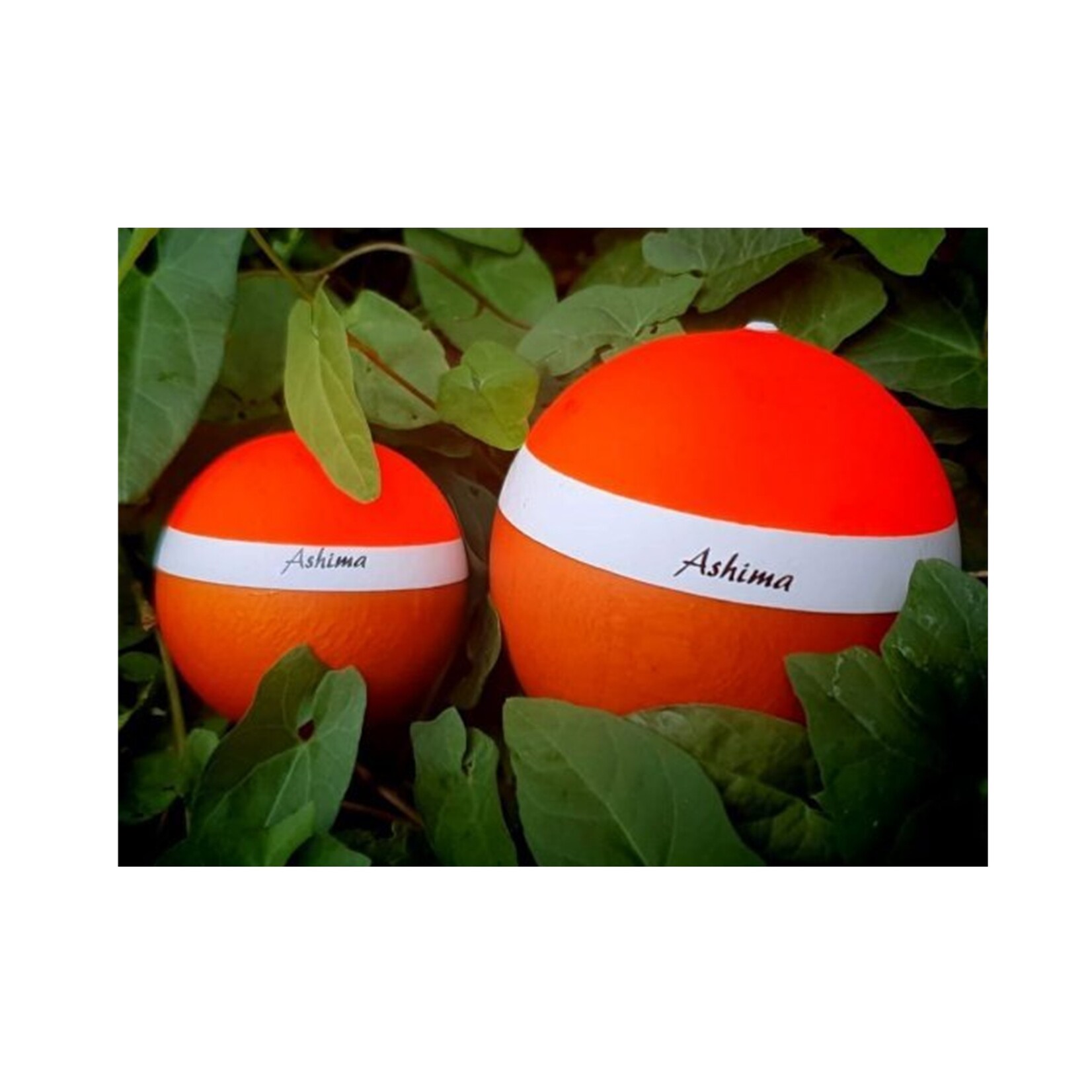 Ashima Ashima Line Float 55 gr inclusief Light Connector van Balsa