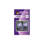 Ashima Ashima Lead Clips Complete Kit