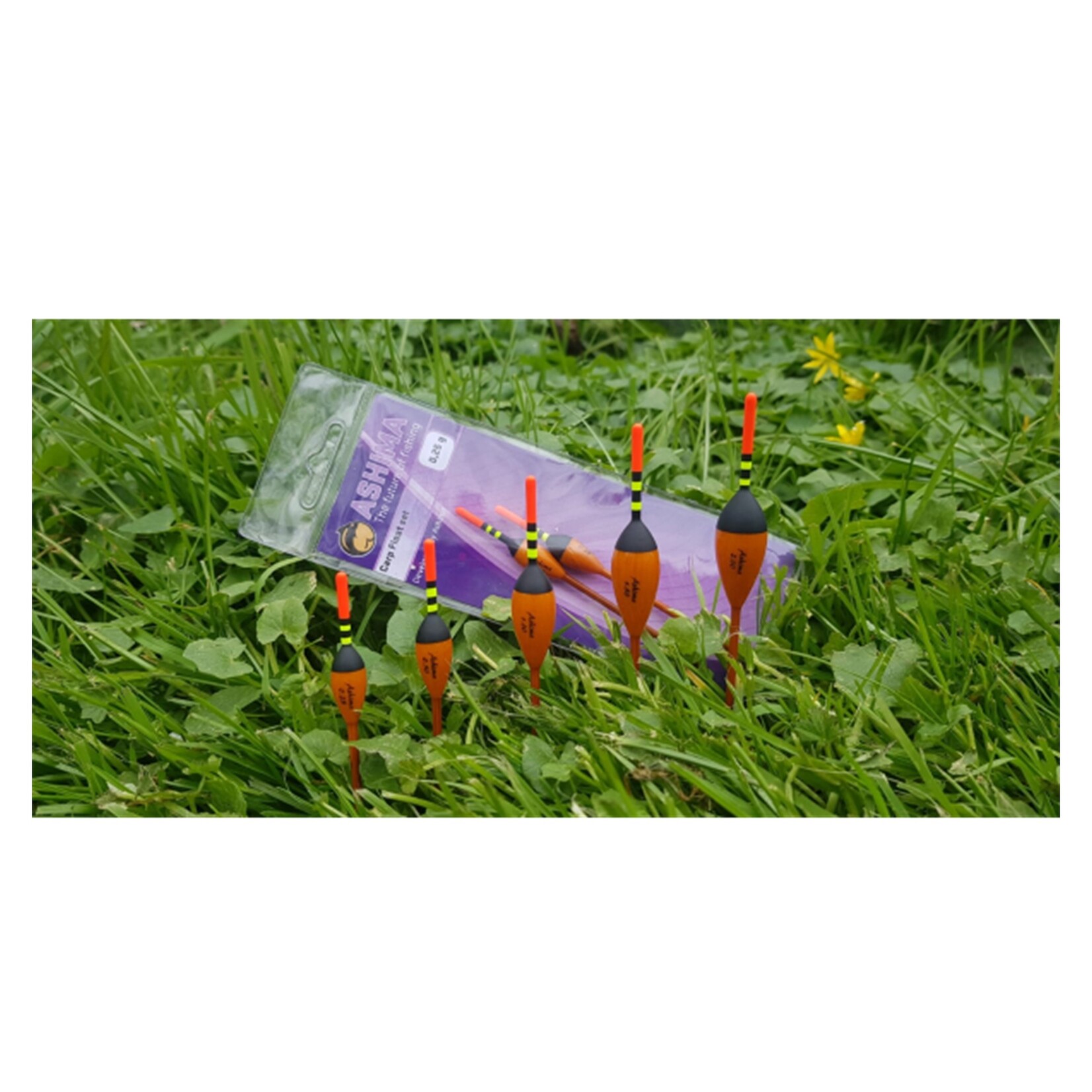 Ashima Ashima Carp Float Set voor de Serieuze Vissers