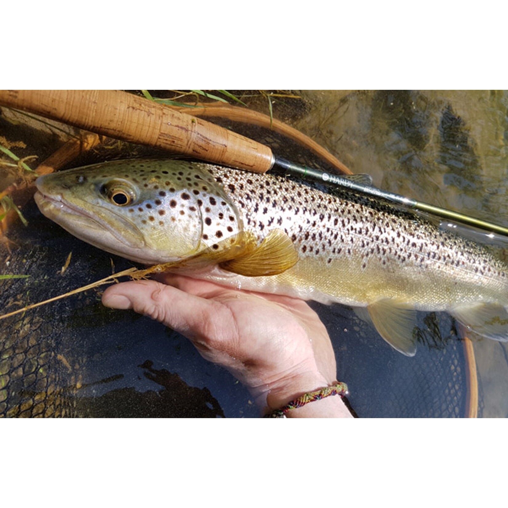 Quantum Quantum Smart Sbiro – Drijvende sbirulino controller voor forel en baars