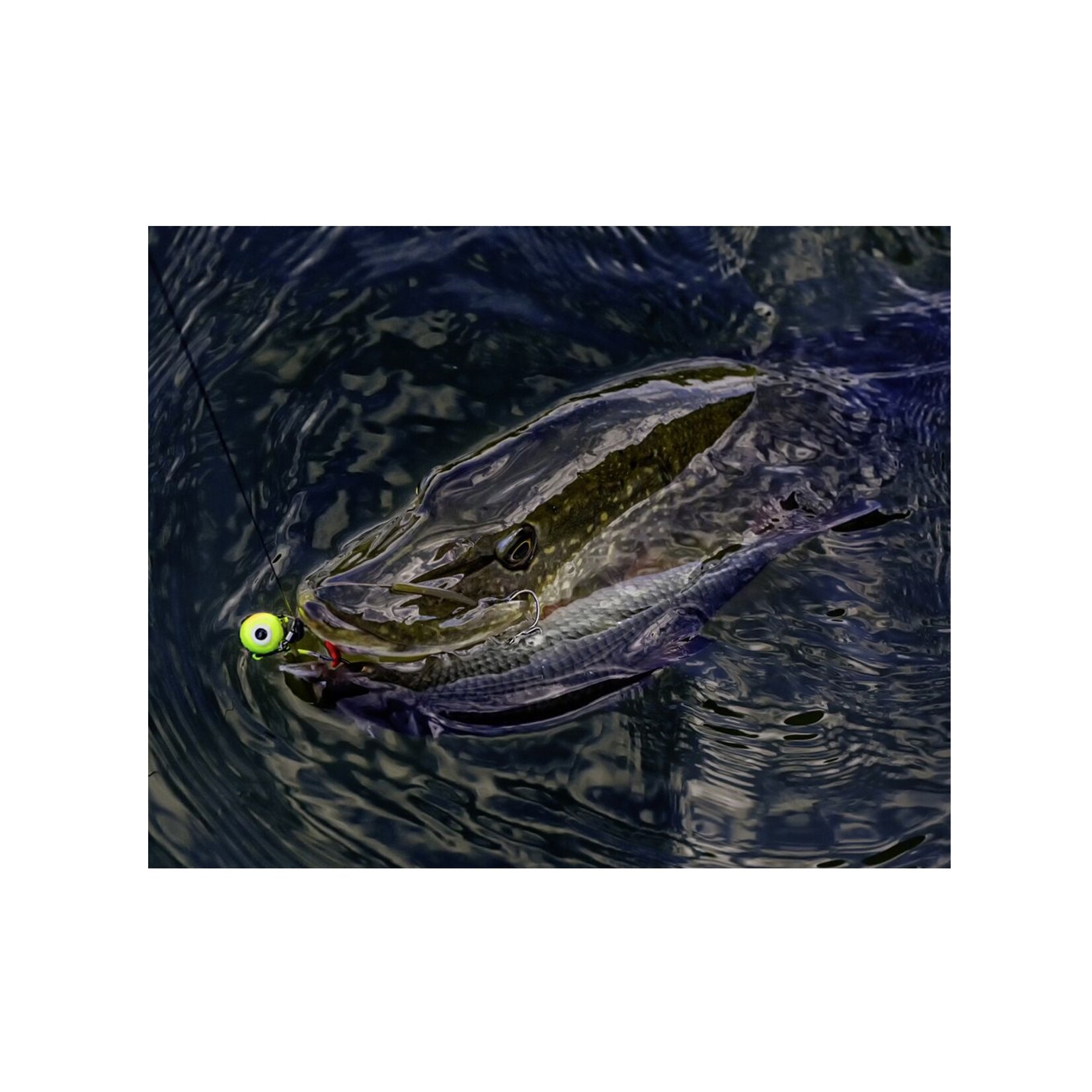 Mr Pike Mr. Pike Fire-Ball Jighead – Krachtige jigkop voor doodaas en roofvis