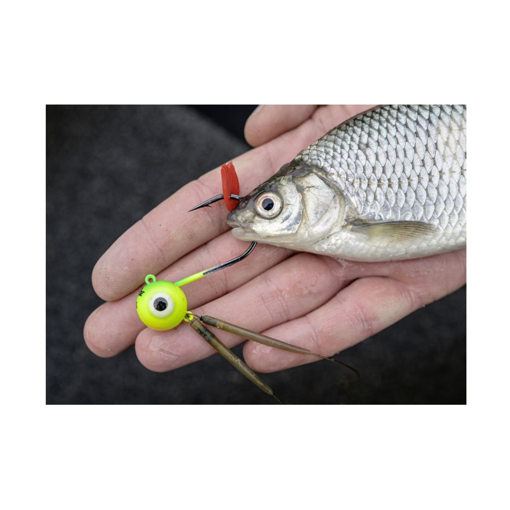 Mr Pike Mr. Pike Wabiki Spotty – Aantrekkelijke kunstvliegjes voor roofvismontages