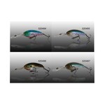 Gecko Gecko Tummy 95